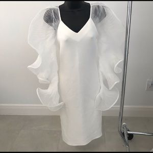 Dress cream sheer pleated curly sleeves